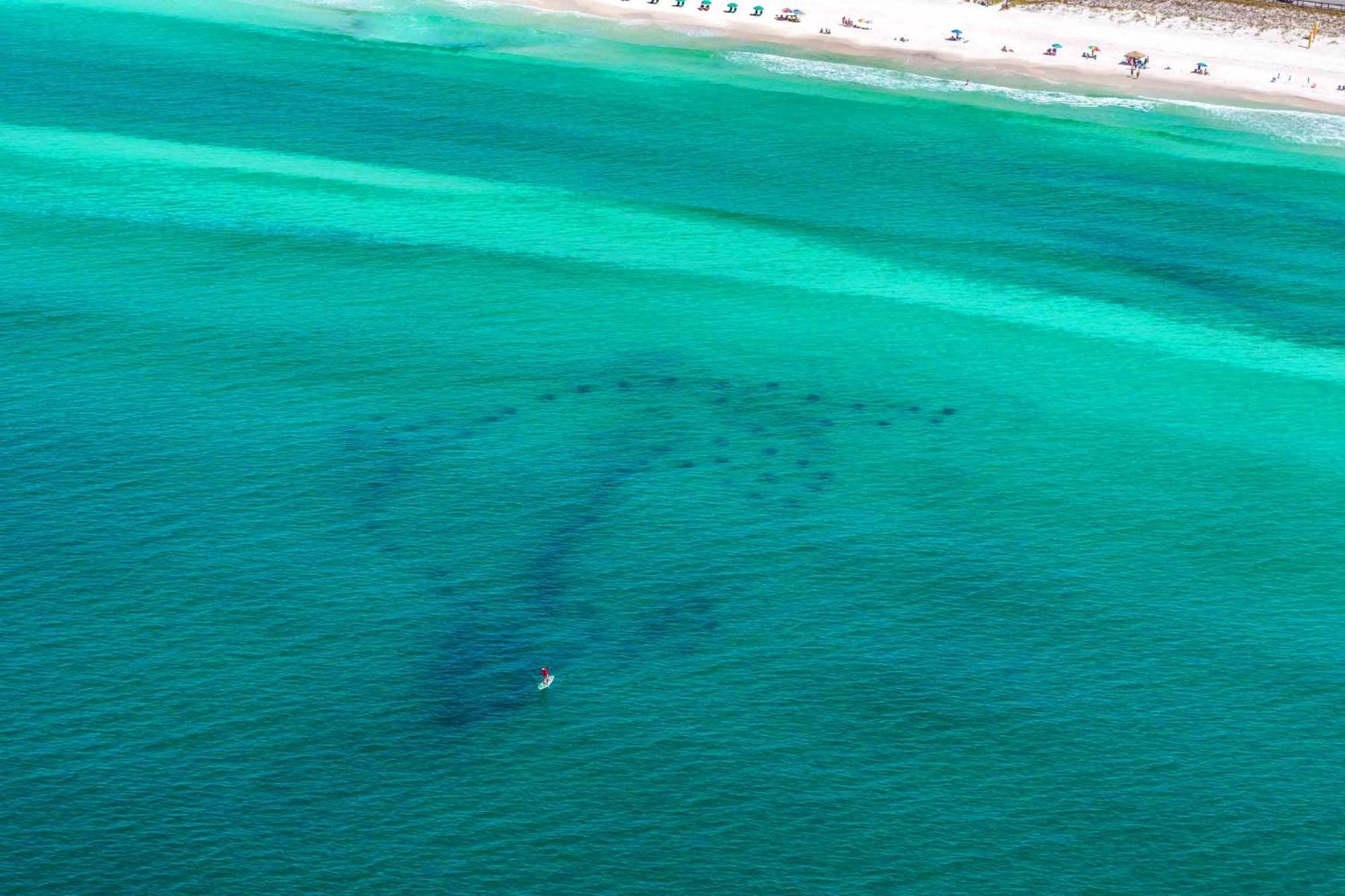 Ariel Dunes I 2207 Destin Extérieur photo